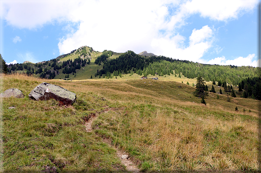 foto Da Forcella Montalon a Val Campelle